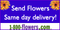 flowers, flowers.com